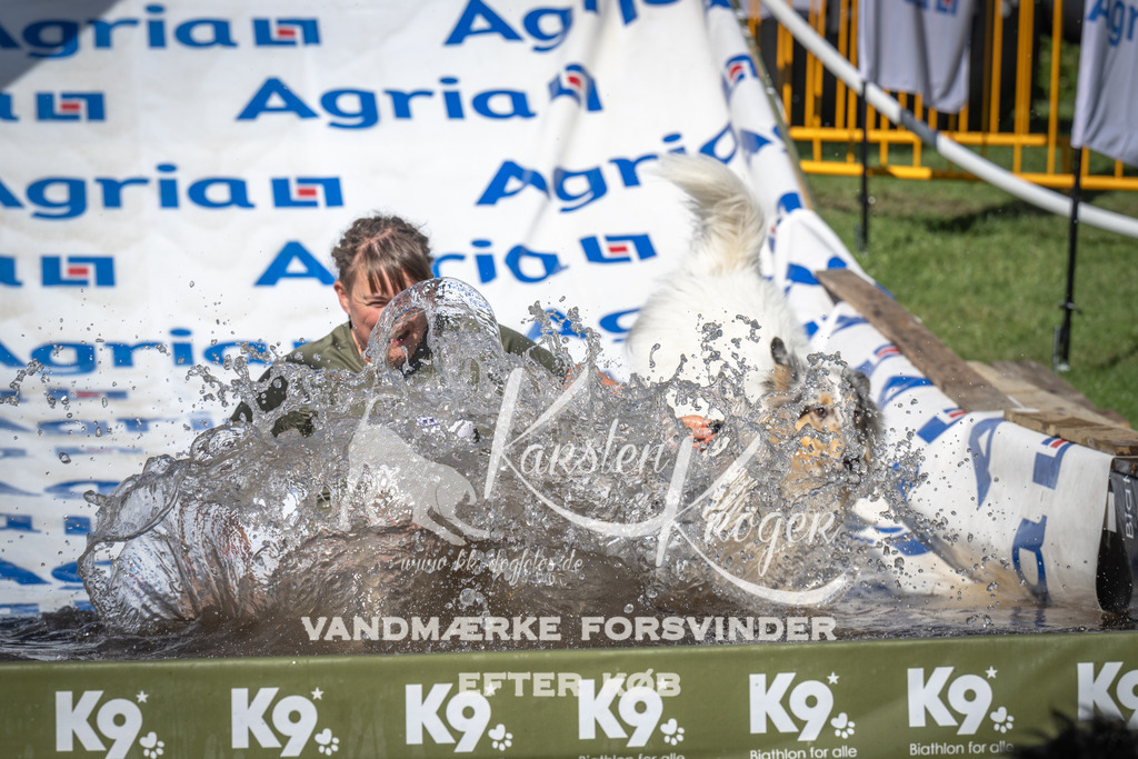 1622_ZZ99632 | kk-dogfotos