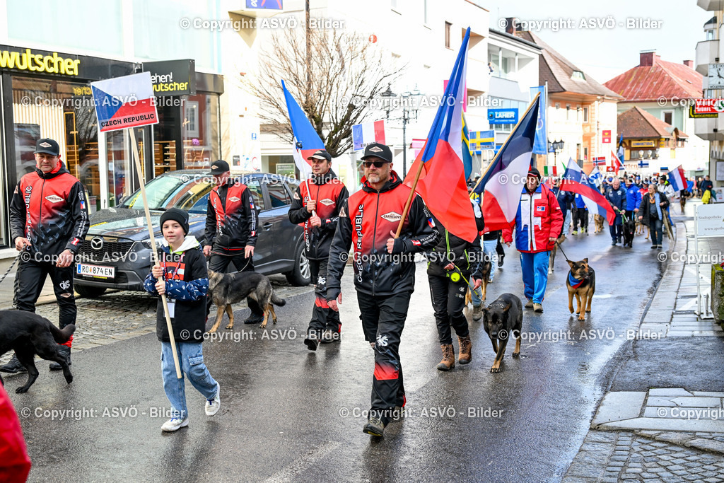 ASVÖ_ Tracking Dog World Championship 2025_ 31.03.2025-191 | 31.03.2025, AUT, ASVÖ, Tracking Dog World Championship // FCI IGP Fährtenhundeweltmeisterschaft 2025©fodo.media / Harald Dostal - Realisiert mit Pictrs.com