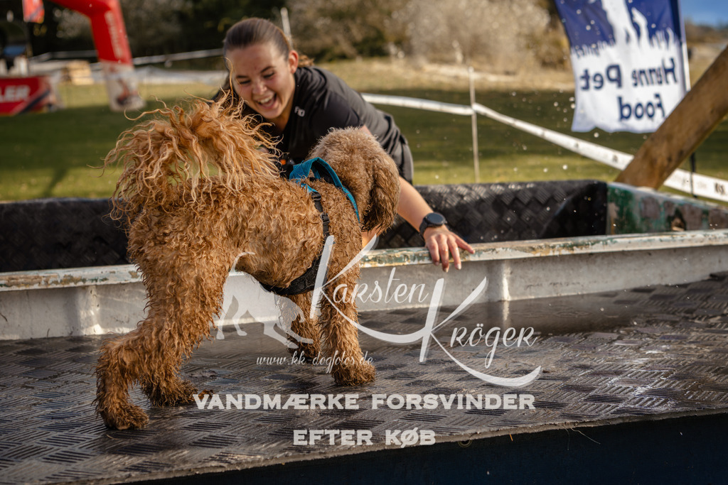 1546_ZZ97082 | kk-dogfotos