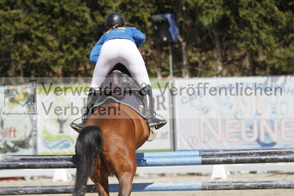 _MG_6758 | equestrian-live-com
