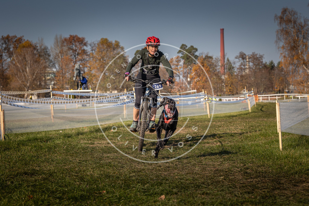 CaniXpix_0L8A7986 | Hundefotografie, Tierfotograf, Pfotenfotografie, Fotoshooting Hund, Hunde Portrait, Hundesport, Hundeportraits, Heideshooting, Hunde, Sportfotograf, Hundefotograf, Turnierhundsport, THS,  - Realisiert mit Pictrs.com