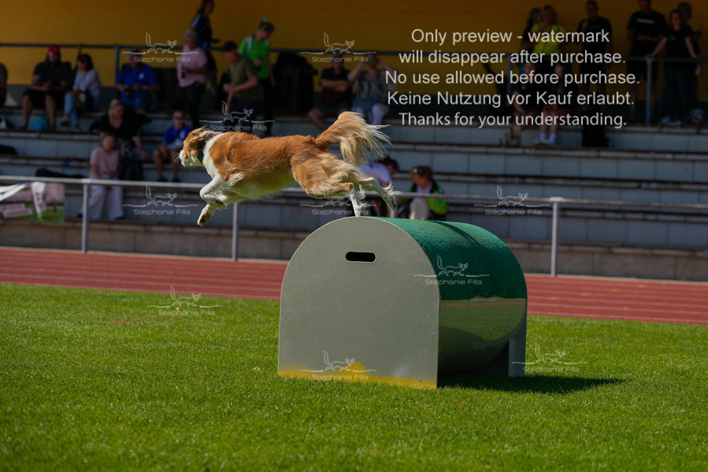 Sonntag_VK Hindernis (58 von 671) | stephaniefillaphotographie - Realisiert mit Pictrs.com