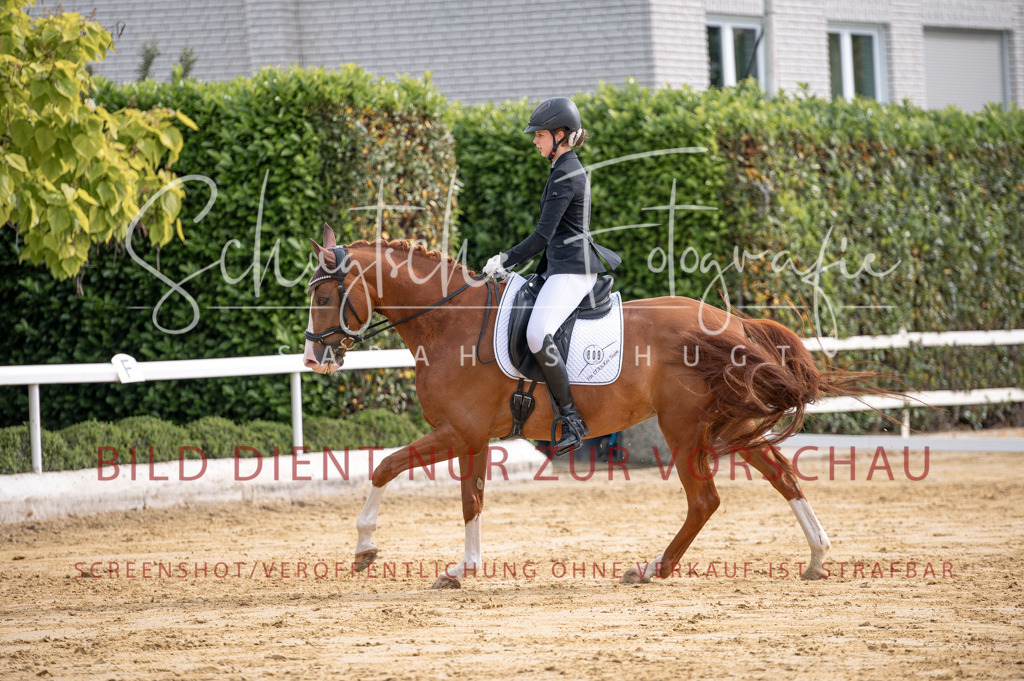 Schugtsche-Aluta25-40.DressurprfA_-197 | Schugtsche Fotografie - Realisiert mit Pictrs.com