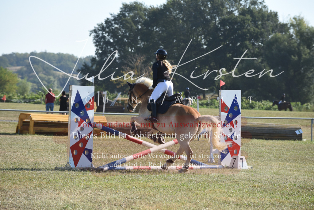 DSC_5894 | Pferde- und Turnierfotografie in Westsachsen. Pferdeportraits, Auftragszeichnungen und intuitive Kunst.