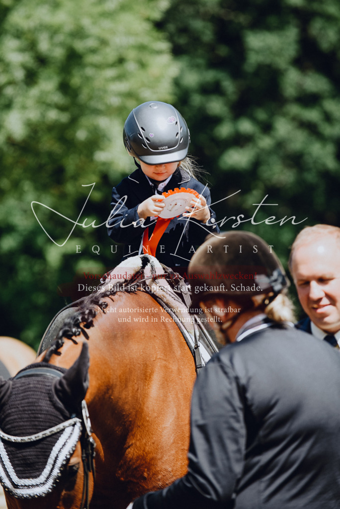 DSC_2651 | Pferde- und Turnierfotografie in Westsachsen. Pferdeportraits, Auftragszeichnungen und intuitive Kunst.