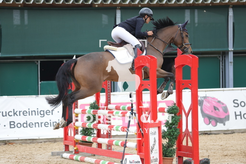 0P6A1803 | Willkommen bei Brunnmayr - Design & Fotografie – Ihrem Spezialisten für Reitturniere und Pferdeveranstaltungen in Oberösterreich, Salzburg und Bayern! Seit über 17 Jahren sind wir leidenschaftlich dabei.