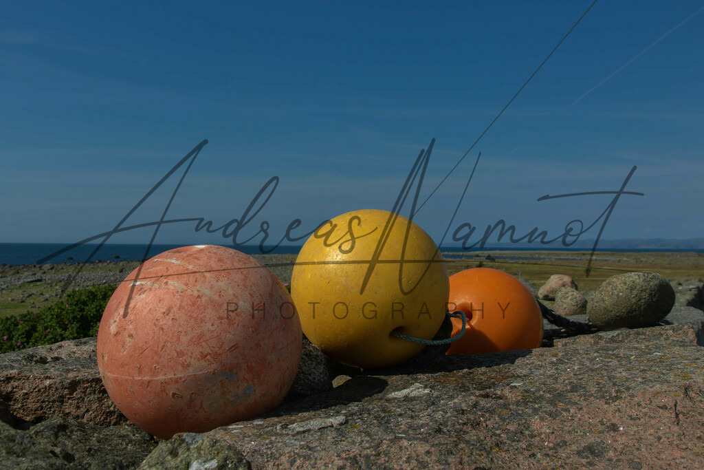 IMG_8885 | Andreas Namnot Fotografie, ein Leben in Bildern - Realisiert mit Pictrs.com