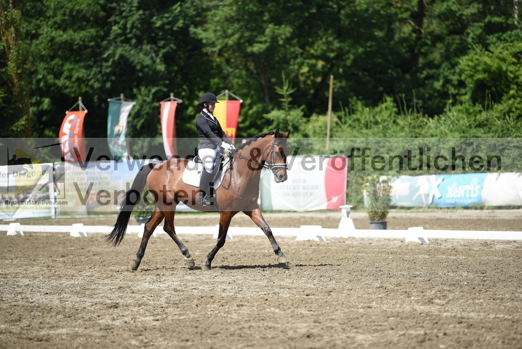 DSC_0451 | equestrian-live-com