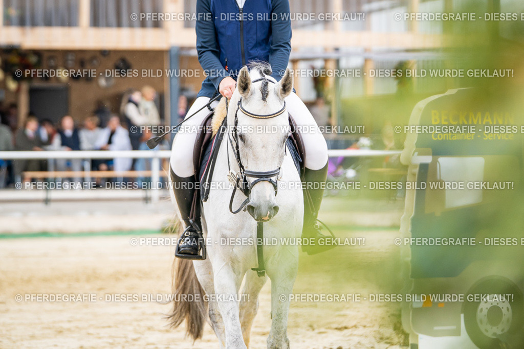 DSC02307 | Pferdegrafie