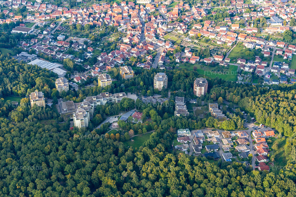 Luftbild: Waldpark Siedlung in Eisingen im Bundesland Baden-Württemberg in Deutschland. Foto: IMG_103634.jpg vom 23.09.2017 durch Werner Riehm/FLY-FOTO.de
