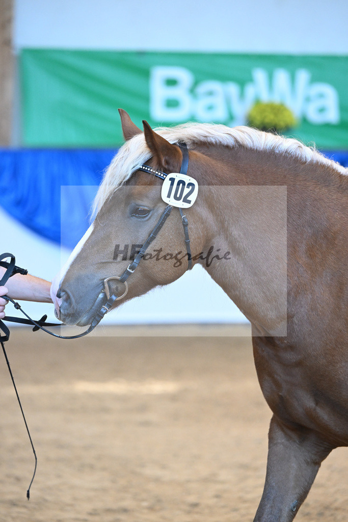 Kat-Nr. 102 Malea_ZG Schmidt_53220720 | hf-fotografie - Realizzato con Pictrs.com