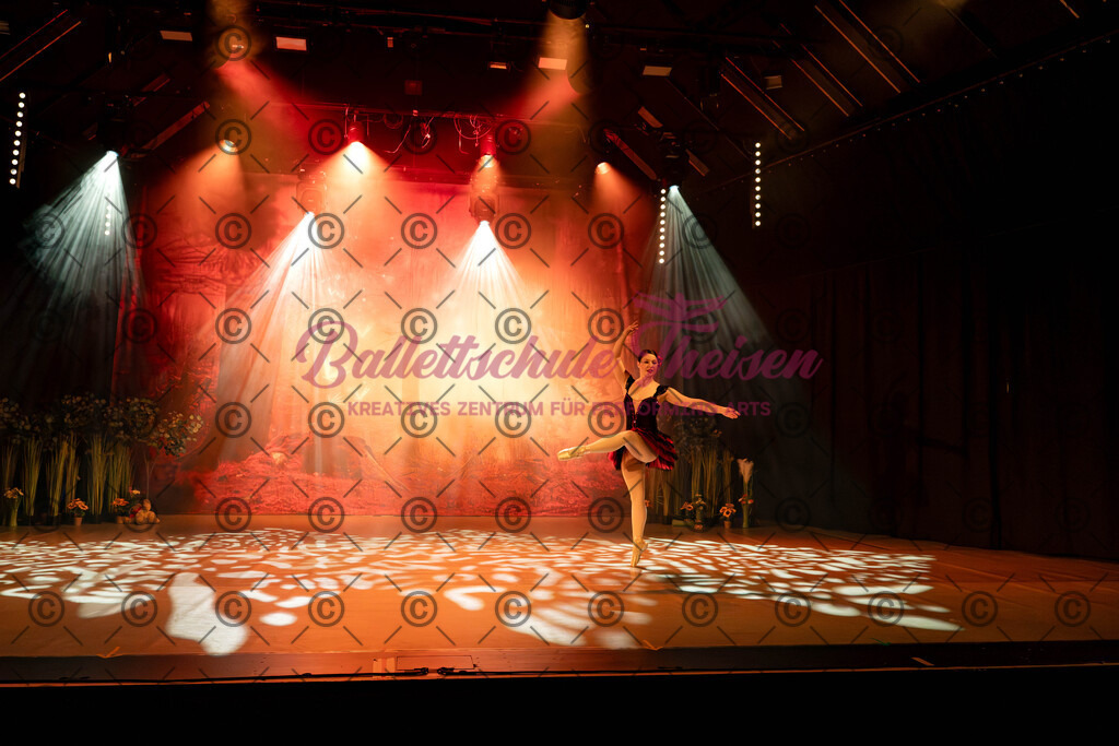 Ballettaufführung-505 | Bildershop Lem'n Entertainment - Realisiert mit Pictrs.com