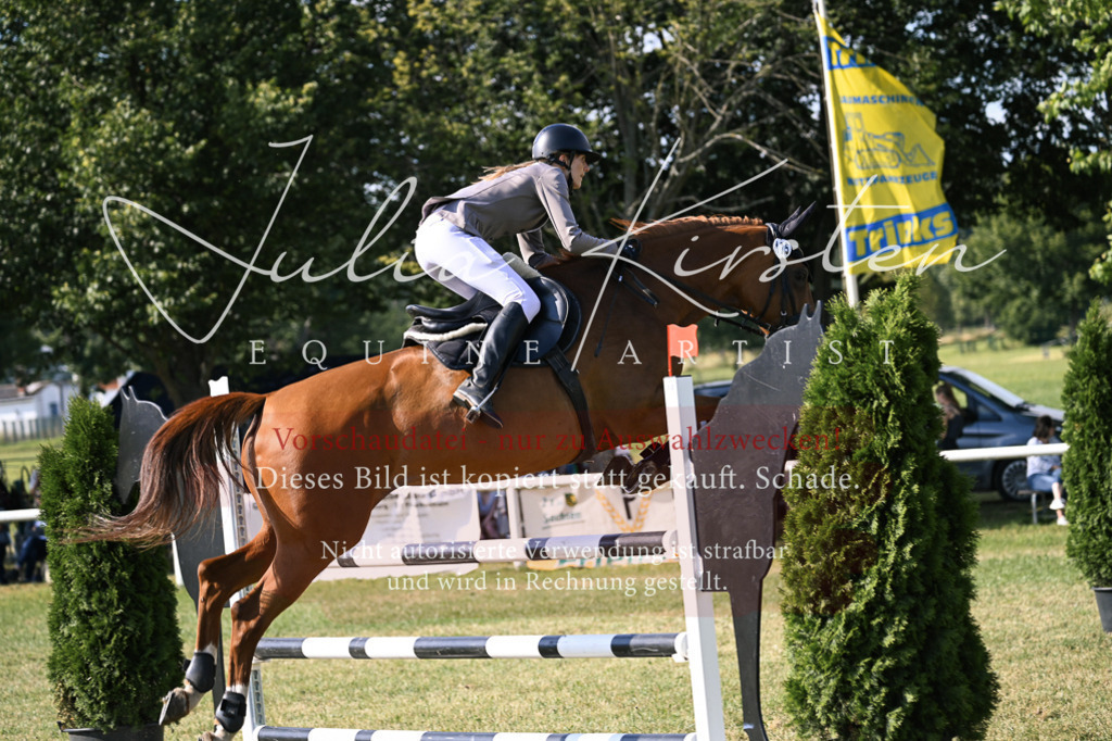 DSC_1292 | Pferde- und Turnierfotografie in Westsachsen. Pferdeportraits, Auftragszeichnungen und intuitive Kunst.