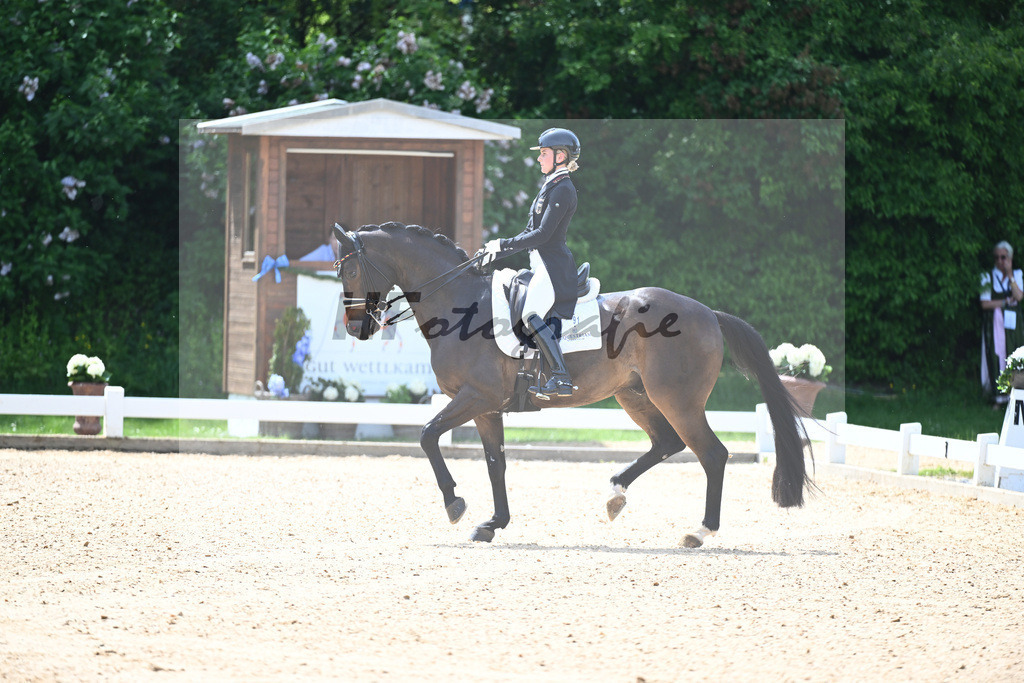 Hendricks_Drombusch OLD_12244060 | hf-fotografie - Realisiert mit Pictrs.com