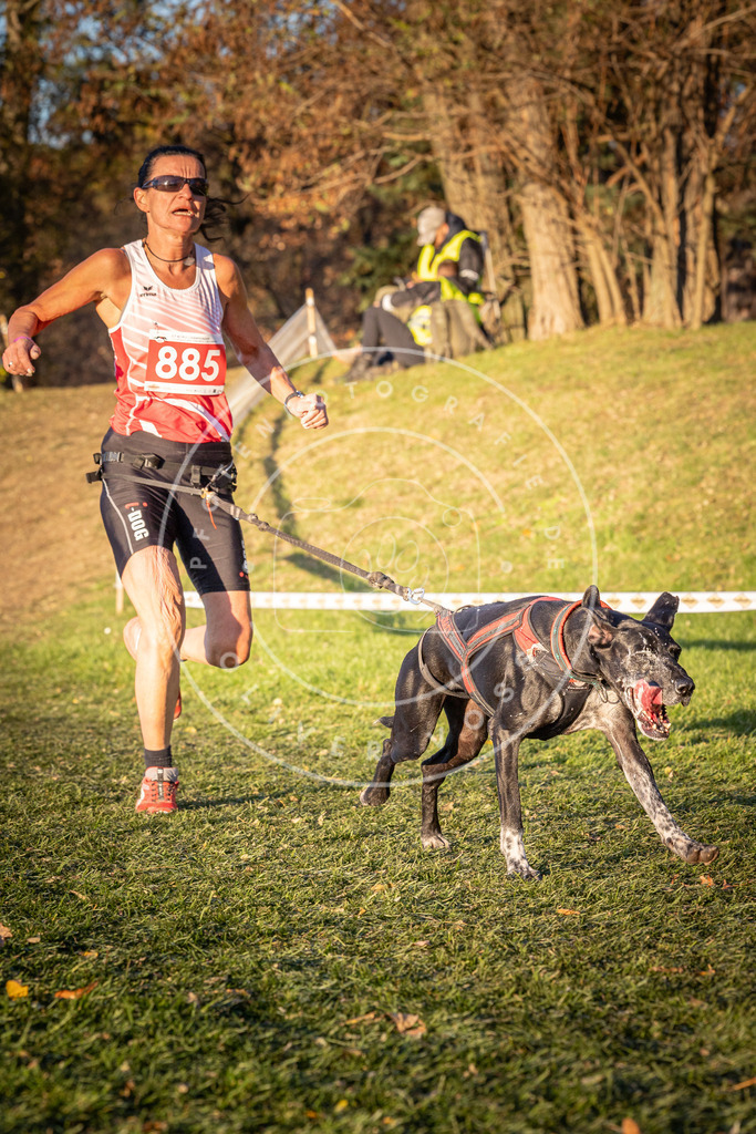 CaniXpix_0L8A1253 | Hundefotografie, Tierfotograf, Pfotenfotografie, Fotoshooting Hund, Hunde Portrait, Hundesport, Hundeportraits, Heideshooting, Hunde, Sportfotograf, Hundefotograf, Turnierhundsport, THS,  - Realisiert mit Pictrs.com
