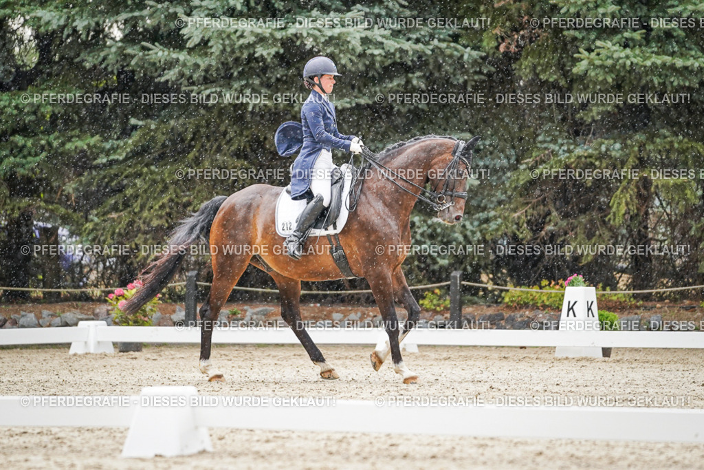 DSC07982 | Pferdegrafie