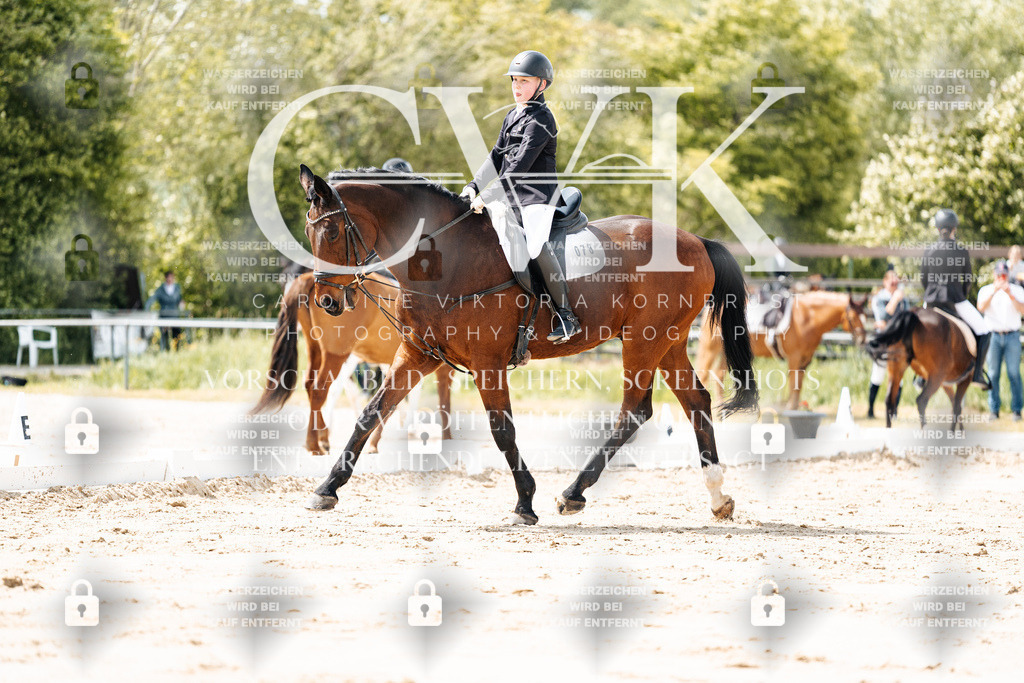 CK901807 | Turnierfotografie Pferdefotografie Trier Rheinland-Pfalz Pferdesport Reitsport Tierfotografie Sportfotografie Pferdevideo Pferdevideografie Equestrianvideography equestrianphotography  - Realisiert mit Pictrs.com
