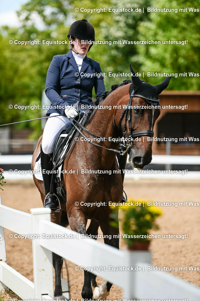 20230716_01_Dressurprüfung Kl.M_0183 | equistock