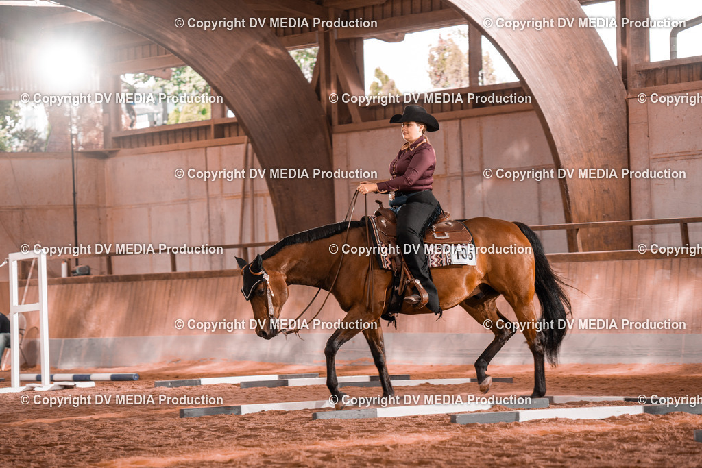 NE300126 | dv-media-shop - Realisiert mit Pictrs.com