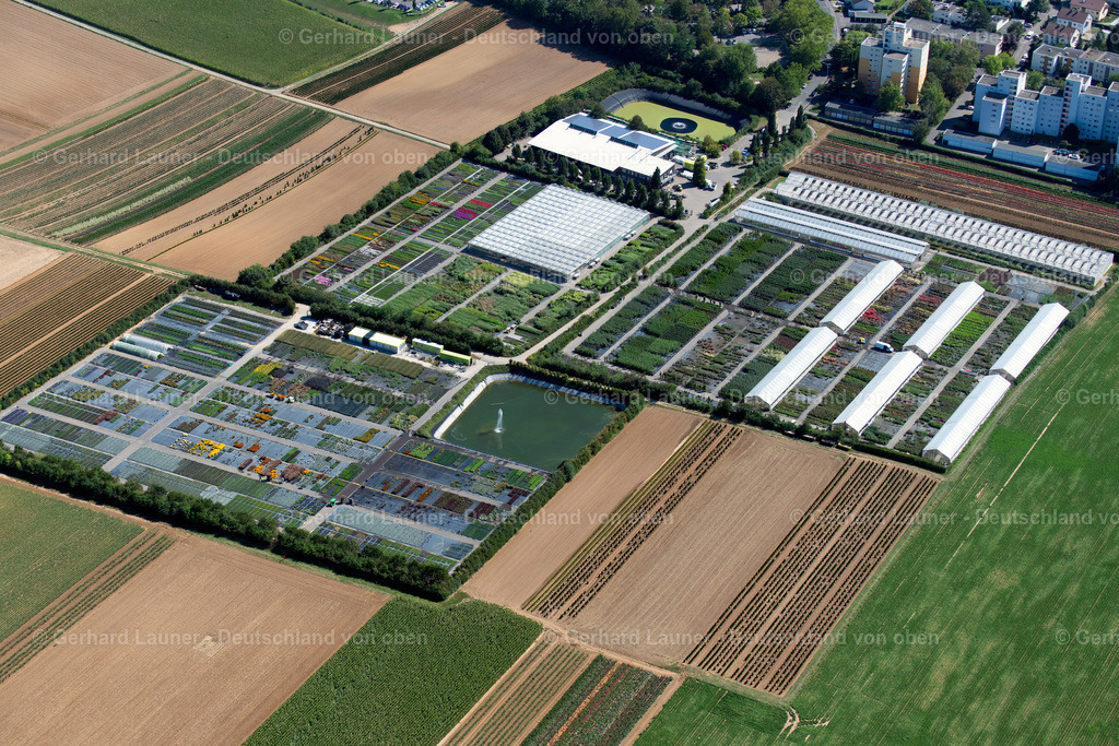 3902616 | Gärtnerei an der Maasstrasse, Neckargartach