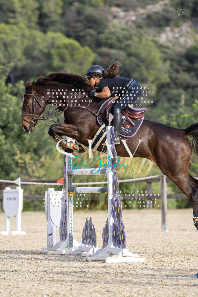 IMG_4711 | s-jay-photography - Realisiert mit Pictrs.com