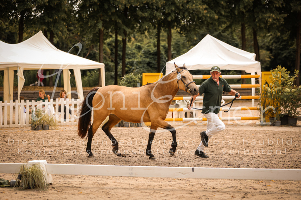 04.So00097 | Leoni Ertmer Photography - Realisiert mit Pictrs.com