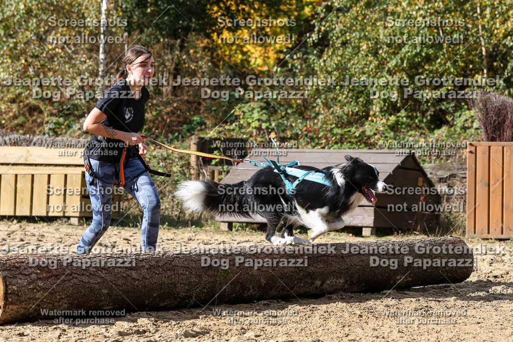 Dog Paparazzi - Strongdog 10-25-4966 | Dog Paparazzi Jeanette Grottendiek Fotografie & Videografie - Realisiert mit Pictrs.com