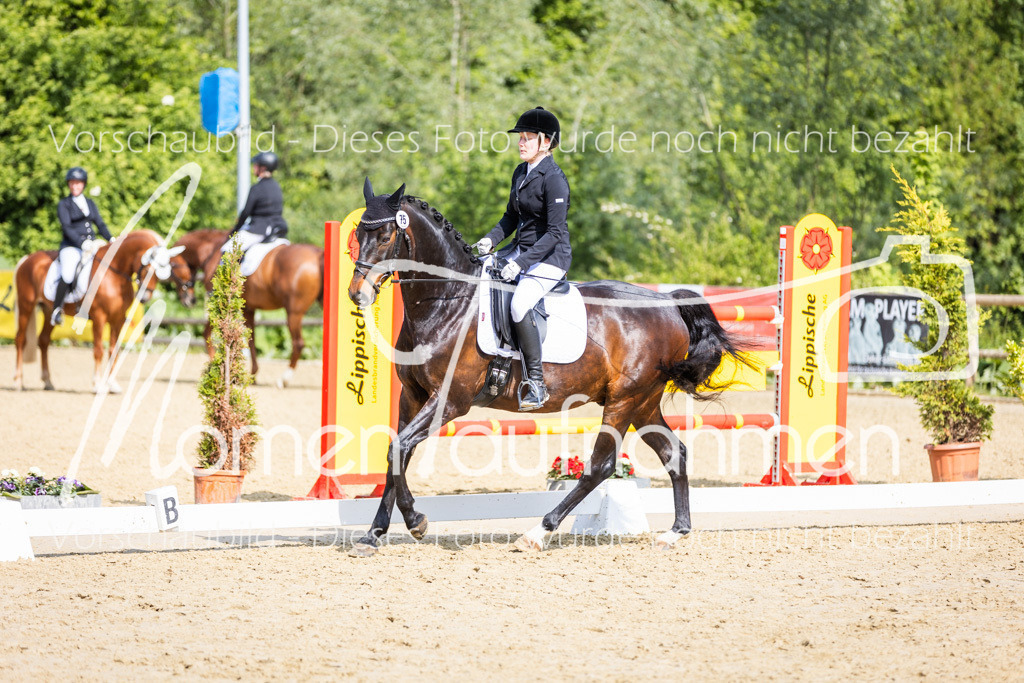 Donop24-A2-Dre-071 | MomenTaufnahmen Pferdesportfotos