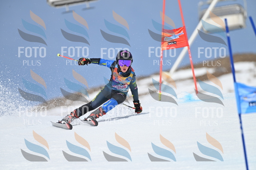 BGV_2738 | holidayphoto