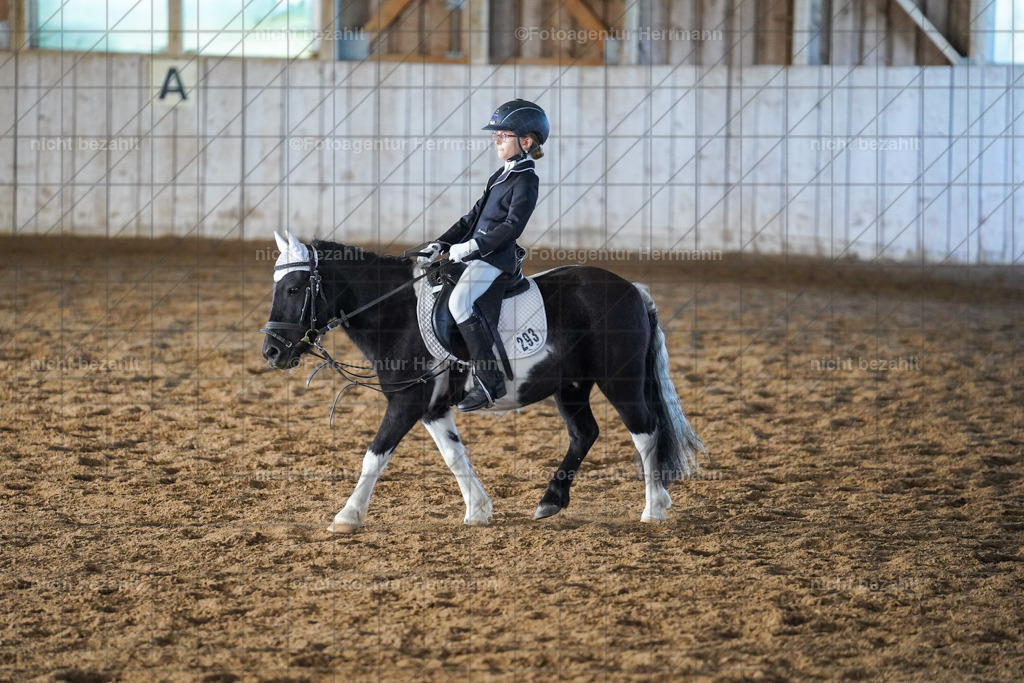 20230916-FAH08717 | Landsberg am Lech 2023, Turnierbildern, Turnierbilder Bayern, Reitsportfotograf, Pferdefotograf Bayern, Turnierfotos Landsberg, Fotoagentur Herrmann, Turnierfotografen Bayern