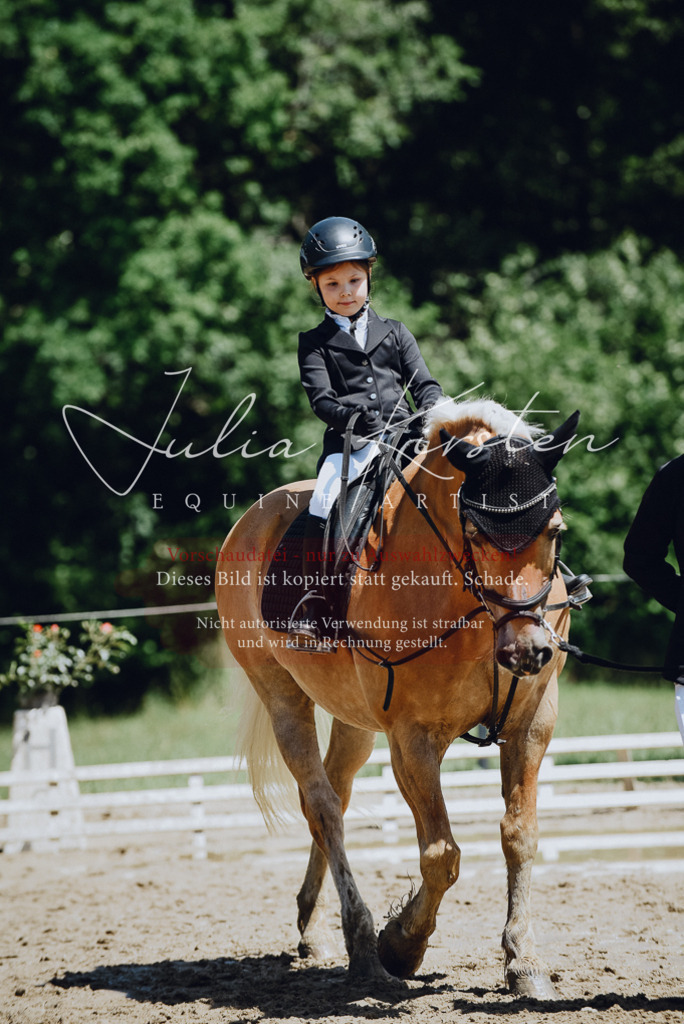 DSC_2575 | Pferde- und Turnierfotografie in Westsachsen. Pferdeportraits, Auftragszeichnungen und intuitive Kunst.