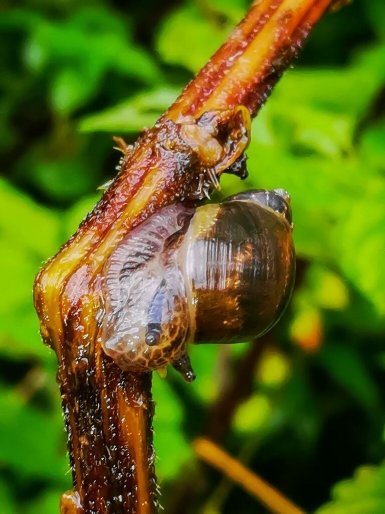 PSX_20220928_230125 | mtkfoto_ - Realisiert mit Pictrs.com