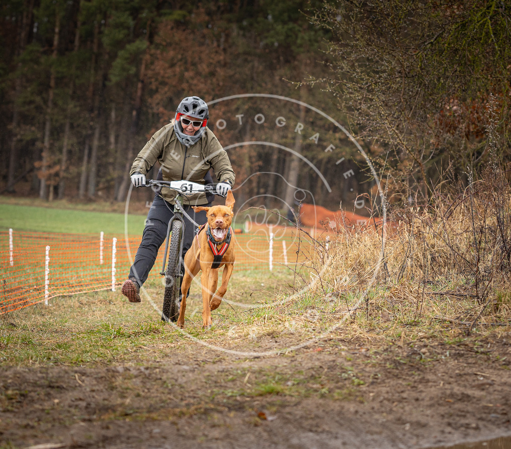 DV3A9512 | Hundefotografie, Tierfotograf, Pfotenfotografie, Fotoshooting Hund, Hunde Portrait, Hundesport, Hundeportraits, Heideshooting, Hunde, Sportfotograf, Hundefotograf, Turnierhundsport, THS,  - Realisiert mit Pictrs.com