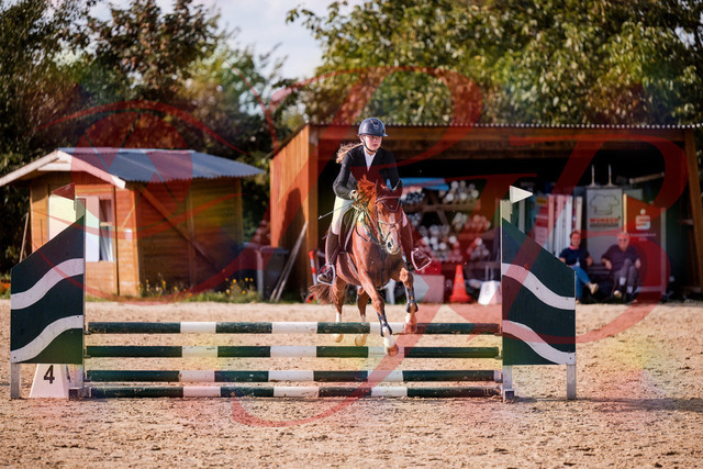 2026_10_03_Siefer-Hof_155806_Z81_77871853 | Professionelle Reitsport-, Turnier- und Eventfotografie von Robert Broda. Galerien mit ausgewählten und bearbeiteten Bildern direkt online ansehen und bestellen.