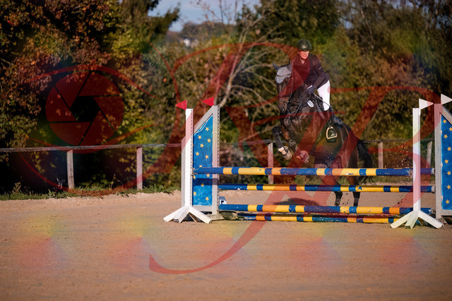 2026_10_03_Siefer-Hof_171914_Z81_17298669 | Professionelle Reitsport-, Turnier- und Eventfotografie von Robert Broda. Galerien mit ausgewählten und bearbeiteten Bildern direkt online ansehen und bestellen.