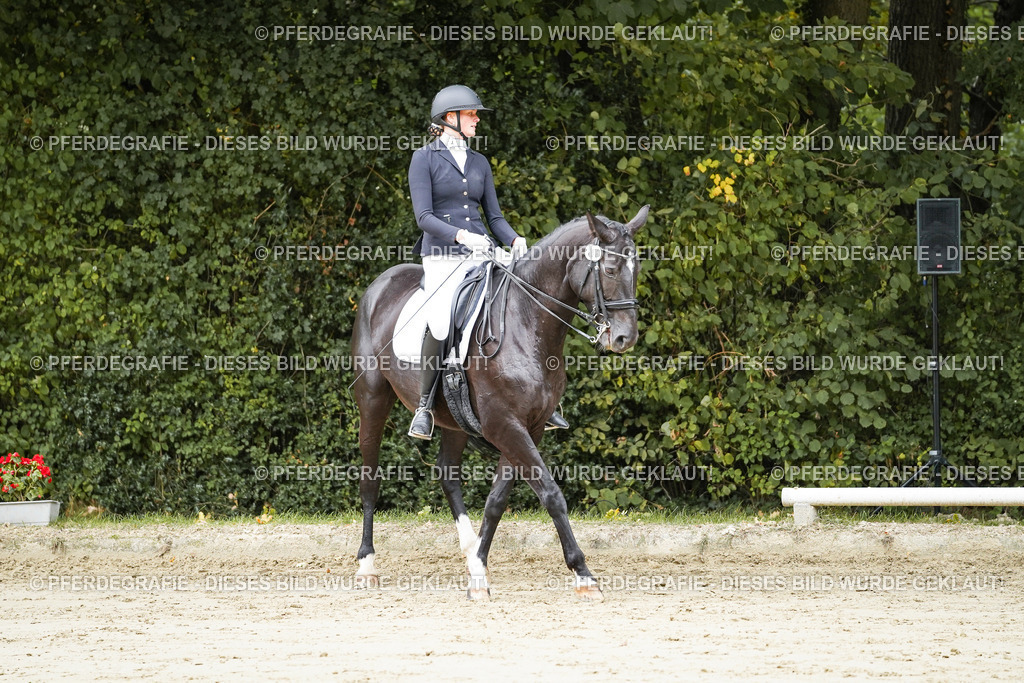 DSC08321 | Pferdegrafie