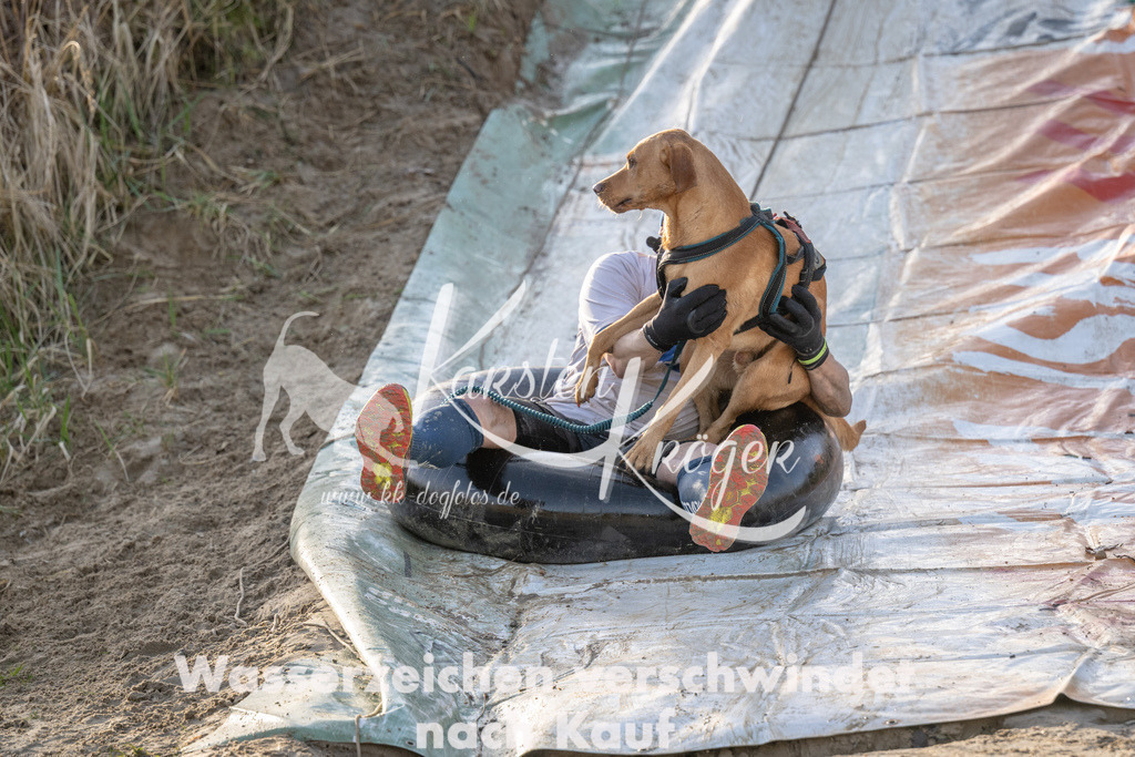 1635_ZZ92824 | kk-dogfotos