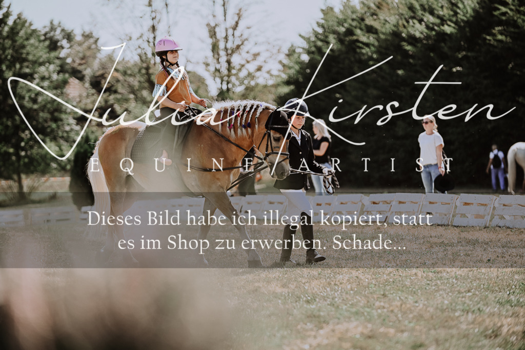 DSC_8886 | Pferde- und Turnierfotografie in Westsachsen. Pferdeportraits, Auftragszeichnungen und intuitive Kunst.