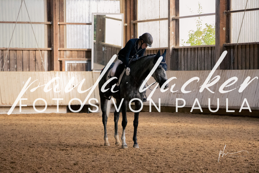 IMG_3233 | Erleben Sie dynamische Sport- und emotionale Tierfotografie in Süddeutschland mit Fotos von Paula. Spezialisiert auf Pferde- und Hundefotografie sowie Sportevents. Kontaktieren Sie mich für einzigartige und ausdrucksstarke Bilder Ihrer besonderen Momente. - Realisiert mit Pictrs.com