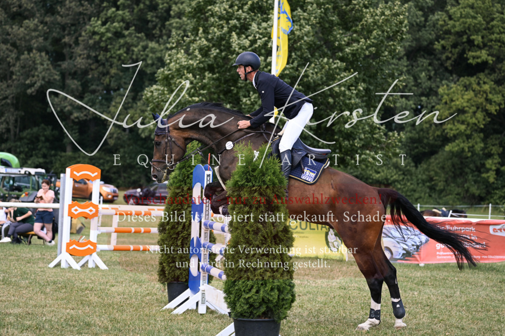 DSC_0851 | Pferde- und Turnierfotografie in Westsachsen. Pferdeportraits, Auftragszeichnungen und intuitive Kunst.