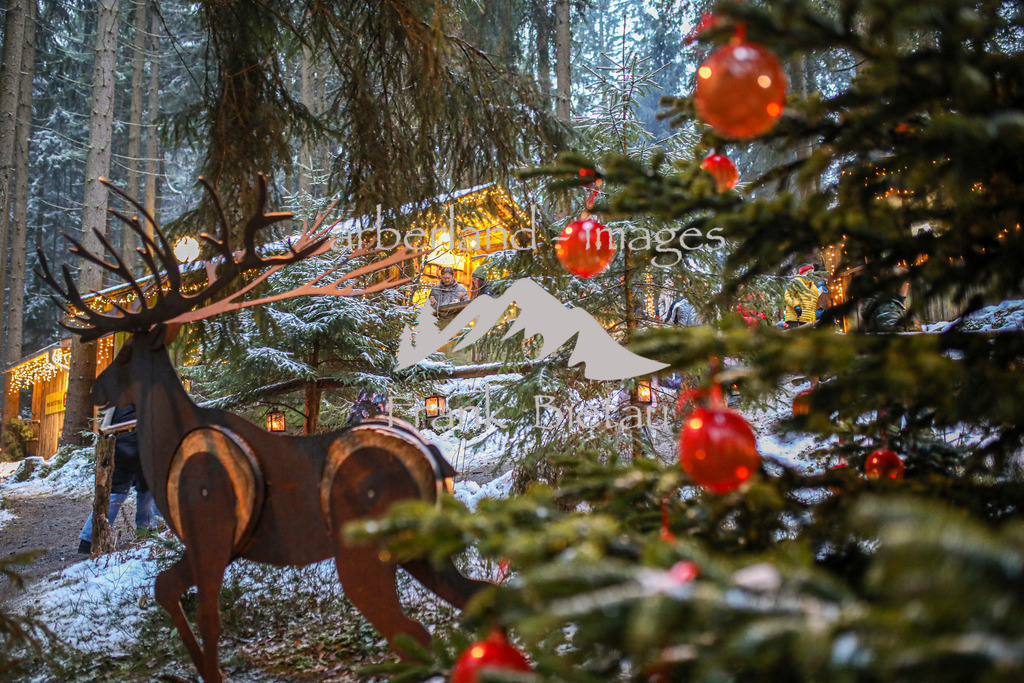 OE7A0345 | Medien- Sport- Entertainmentfotos