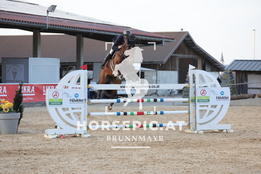 0P6A3605 | Willkommen bei Brunnmayr - Design & Fotografie – Ihrem Spezialisten für Reitturniere und Pferdeveranstaltungen in Oberösterreich, Salzburg und Bayern! Seit über 17 Jahren sind wir leidenschaftlich dabei.