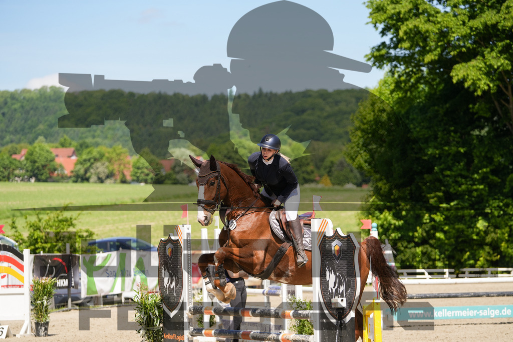 DSC02270 | Julian Held Fotografie - Realisiert mit Pictrs.com