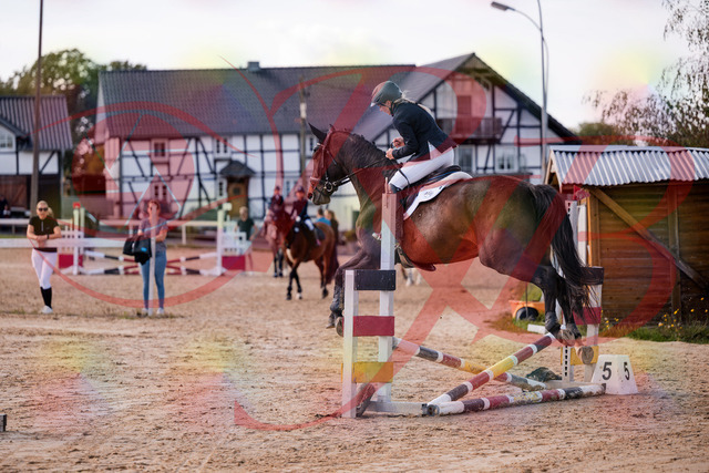2026_10_03_Siefer-Hof_144053_Z81_12343311 | Professionelle Reitsport-, Turnier- und Eventfotografie von Robert Broda. Galerien mit ausgewählten und bearbeiteten Bildern direkt online ansehen und bestellen.
