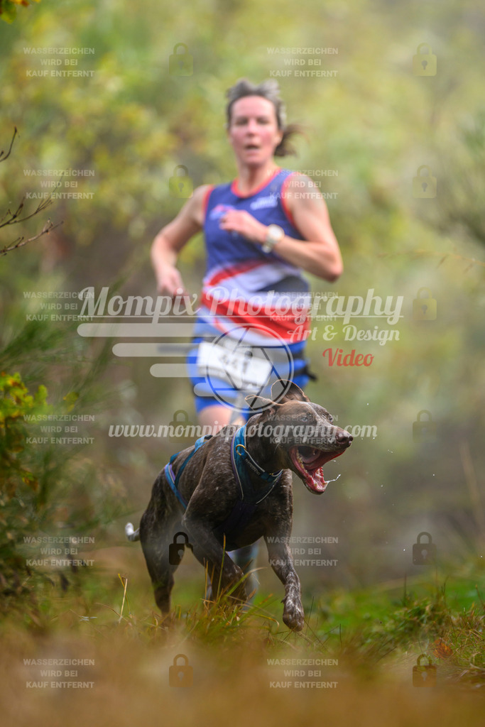 MompixPhotography_20TSB_E4_Run-18 | PayLife
