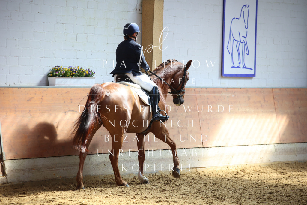 IMGT7108 | pl-fotografie