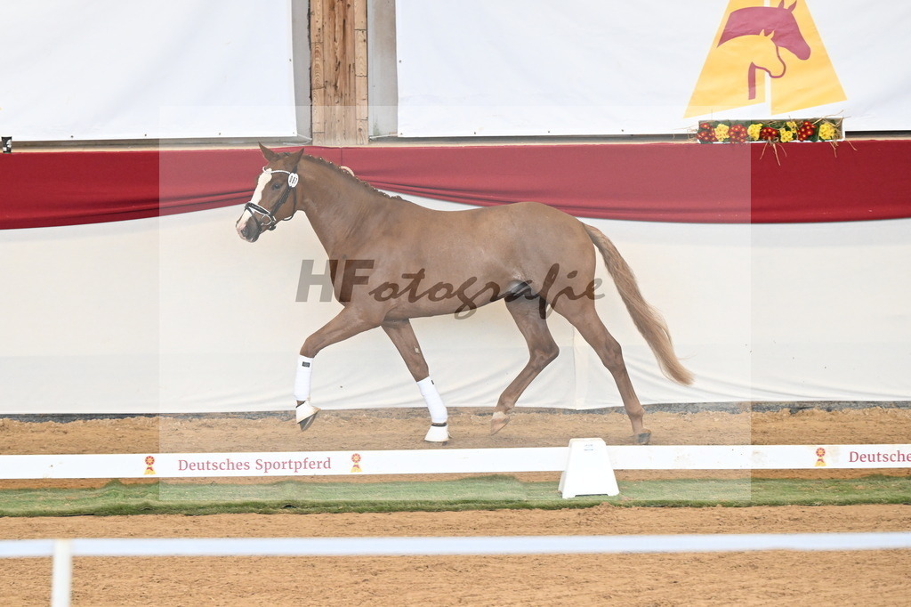 Kat.-Nr. 67 v. Iron_Reglauer_3260974 | hf-fotografie - Realisiert mit Pictrs.com