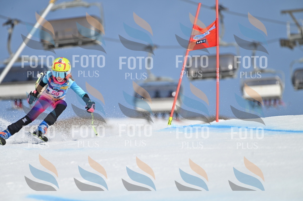 BGV_8699 | holidayphoto