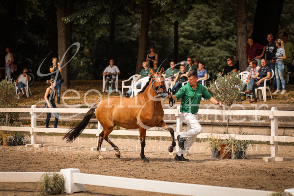 11.So00047 | Leoni Ertmer Photography - Realisiert mit Pictrs.com