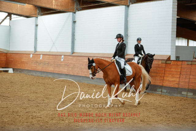 _62_6001 | Turniersportfotografie; Pferdefotografie; Dressurfotografie